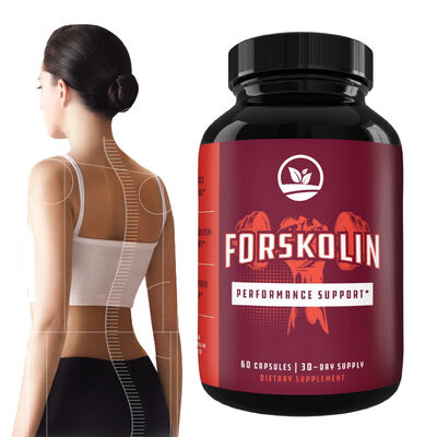 품질  Plant Based Natural Slimming Capsulel Fat Burner Metabolism Boost Slimming Formula 공장